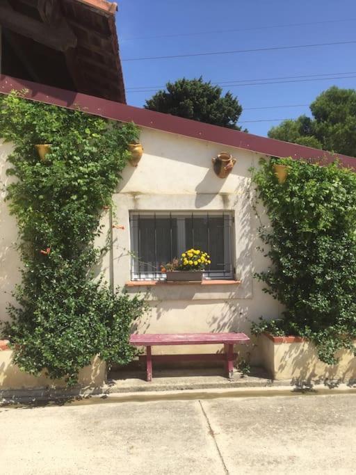 Logement Insolite Au Coeur D'Une Ecurie Arles Exterior foto