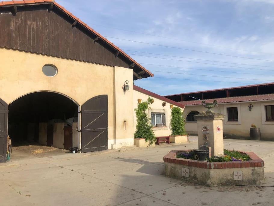 Logement Insolite Au Coeur D'Une Ecurie Arles Exterior foto